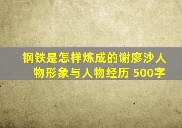钢铁是怎样炼成的谢廖沙人物形象与人物经历 500字